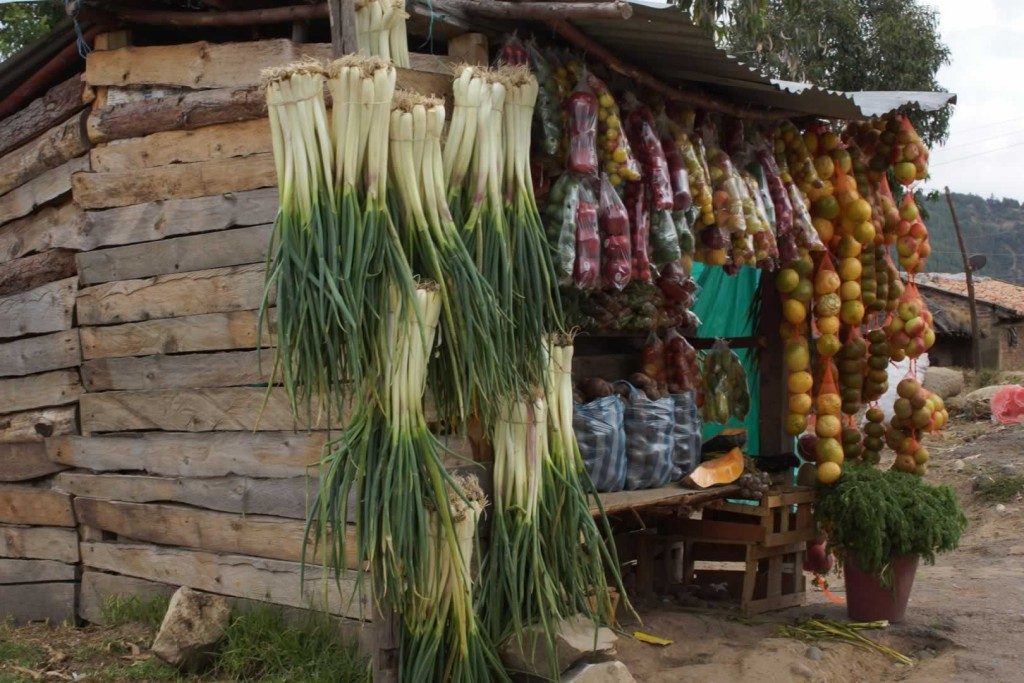 Market on the Road to Aquitania, Tota Lake. Cultural-and-History-with-Colombian-Highlands-67-1024×683
